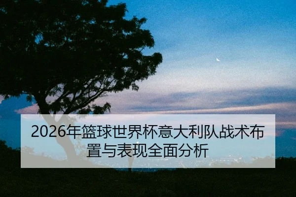 nian-lan-qiu-shi-jie-bei-yi-da-li-dui-zhan-shu-bu-zhi-yu-biao-xian-quan-mian-fen-xi-2-925.jpg