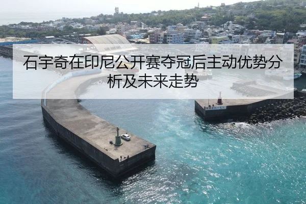 石宇奇在印尼公开赛夺冠后主动优势分析及未来走势